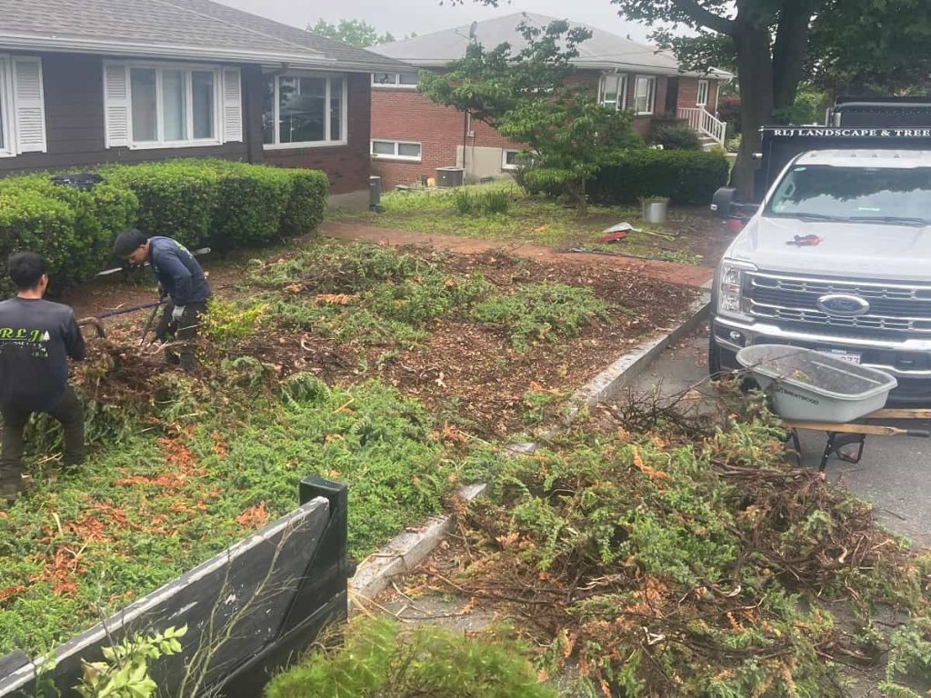 Land Clearing