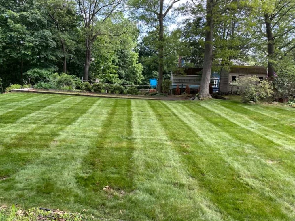 Sod Installation
