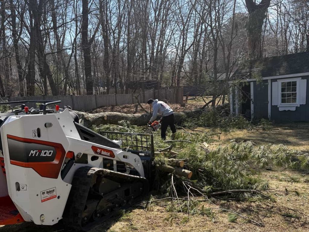 Storm Debris Removal