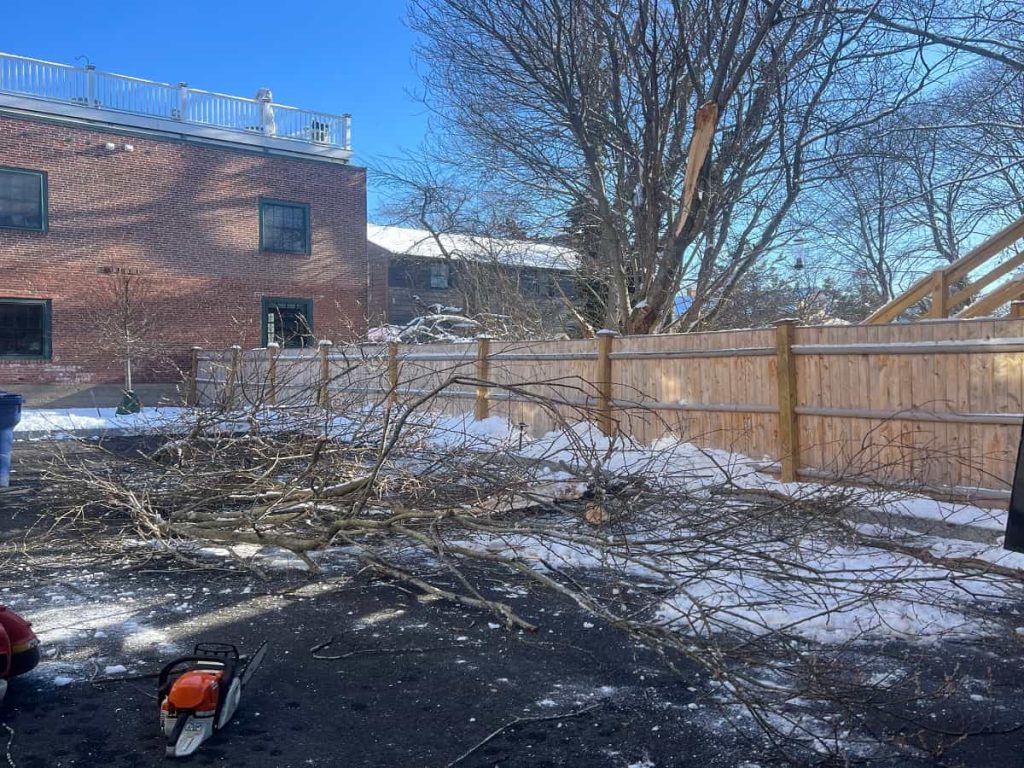 Storm Debris Removal